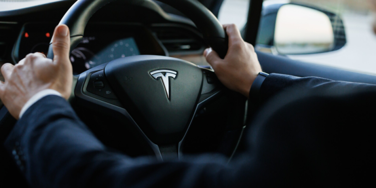 Elon Musk noi modele