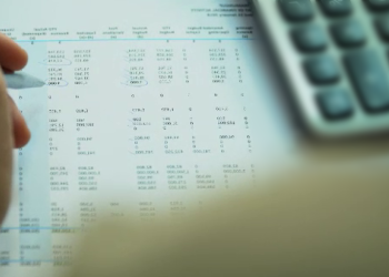 Emisiuni de titluri de stat Plasamente private Euroobligațiuni piețe internaționale Trageri instituții financiare internaționale